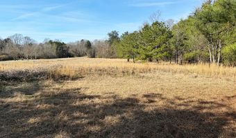 000 Mt Pleasant Ln SE, Bogue Chitto, MS 39629