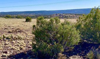Tbd Co Rd 5062 Lot 1 3.53 Acres, Concho, AZ 85924