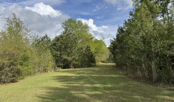 1311 A N Jackson St, Brookhaven, MS 39601