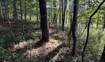 Lynch Road, Alfred, NY 14806