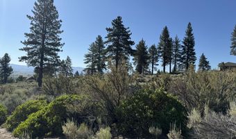 Kingsbury Grade, Gardnerville, NV 89460