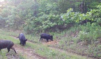 TR 59 60 & 11 K-TRAIL, Albion, OK 74571