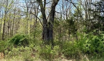 State Highway 76, Ava, MO 65608