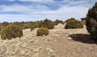 15 County Rd N8641, Concho, AZ 85924