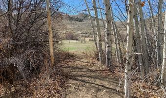 4585 Garden Creek Rd, Challis, ID 83226