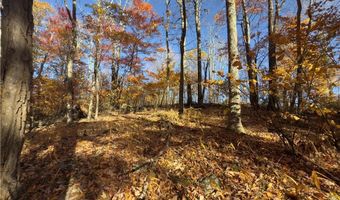 Tbd Larkspur Trail, Banner Elk, NC 28604