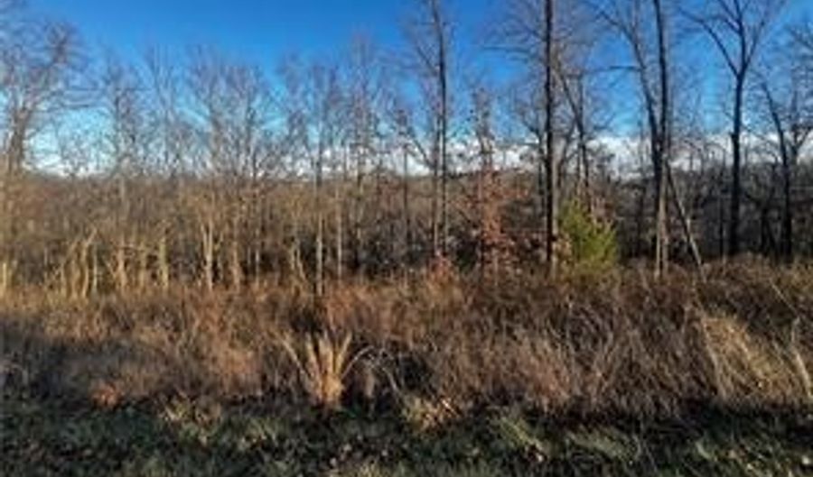 Selkirk Drive lot 8, Bella Vista, AR 72715 - 0 Beds, 0 Bath