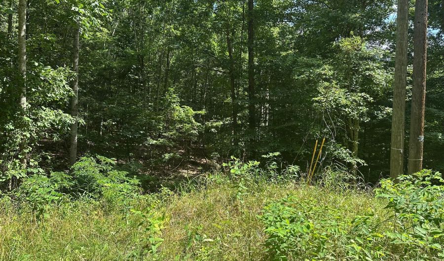 Rt. 1 Muddy Creek Mountain, Alderson, WV 24910 - 0 Beds, 0 Bath