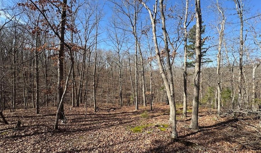 1003 Hidden Valley Lks, Annapolis, MO 63620 - 0 Beds, 0 Bath