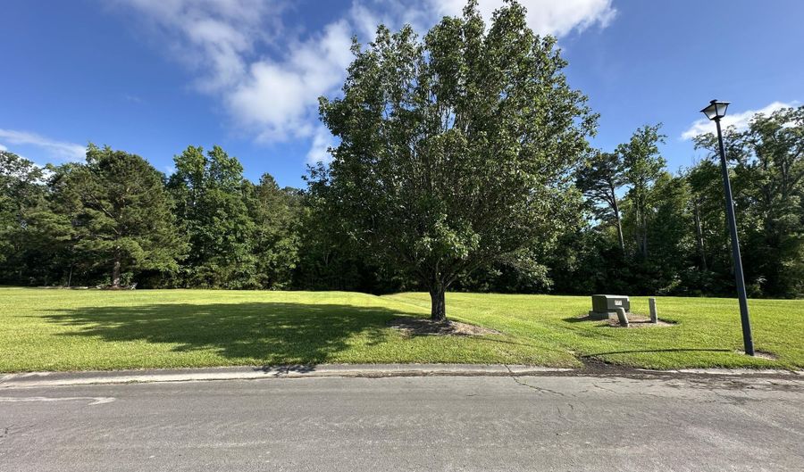 98 Carolina Way Lot 77, Arapahoe, NC 28510 - 0 Beds, 0 Bath