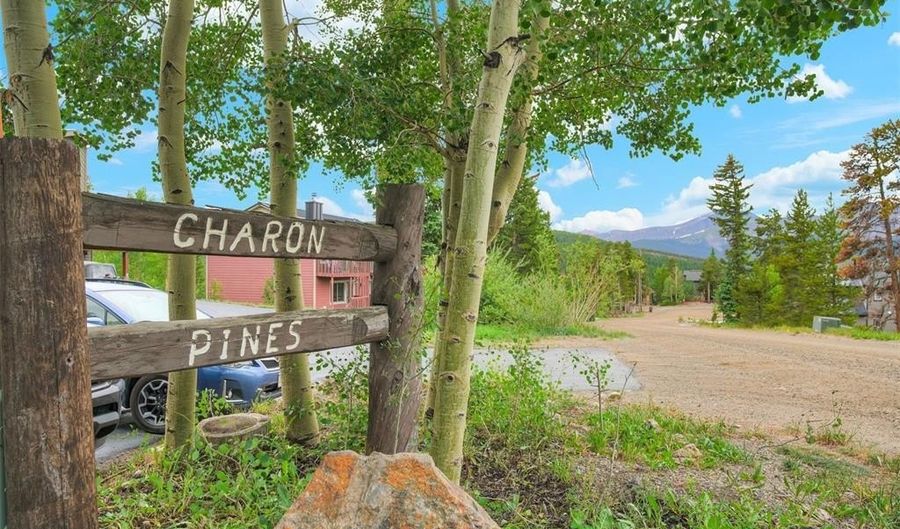 52 CLUB HOUSE Rd 44, Breckenridge, CO 80424 - 3 Beds, 3 Bath