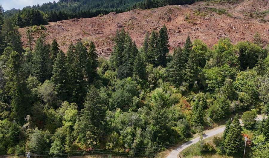 N Bank Chetco, Brookings, OR 97415 - 0 Beds, 0 Bath