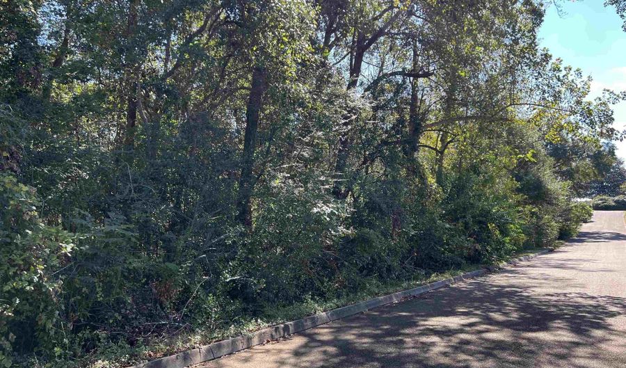 Berman St lot 11 1/2 & 12, Andalusia, AL 36421 - 0 Beds, 0 Bath