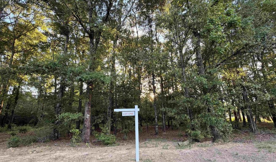 0 Pine Grove Rd Pine Grove Rd Lot 1, Bay Minette, AL 36507 - 0 Beds, 0 Bath