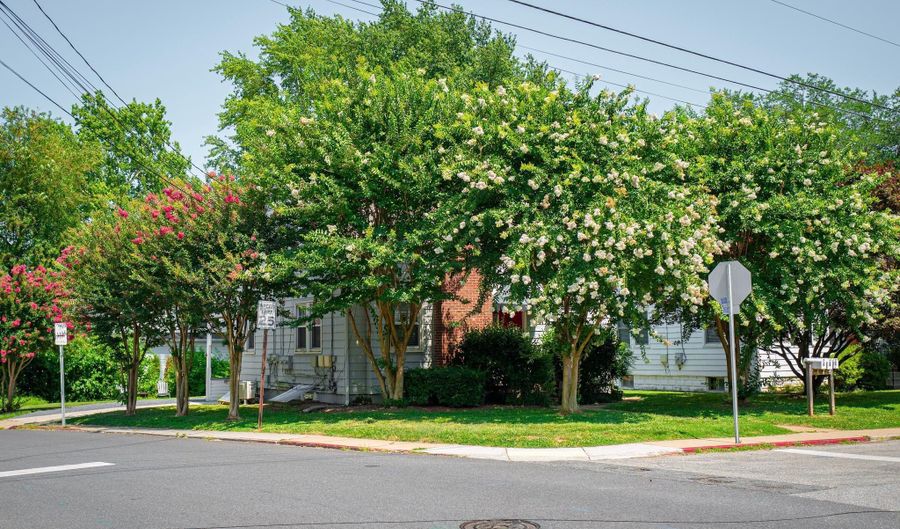 301 ADAMS St B, Annapolis, MD 21403 - 2 Beds, 1 Bath