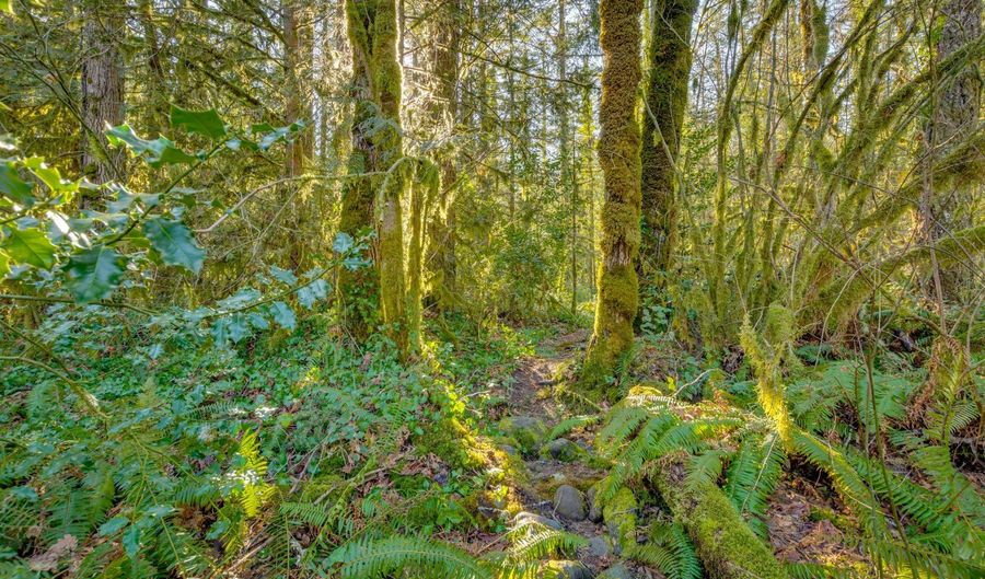 64281 E BRIGHTWOOD LOOP Rd, Brightwood, OR 97011 - 0 Beds, 0 Bath