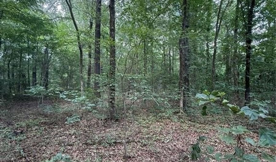 US HWY 64, Atkins, AR 72823 - 0 Beds, 0 Bath
