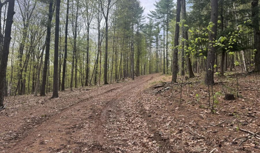 L15 S Durham Estates Road, Acra, NY 12405 - 0 Beds, 0 Bath