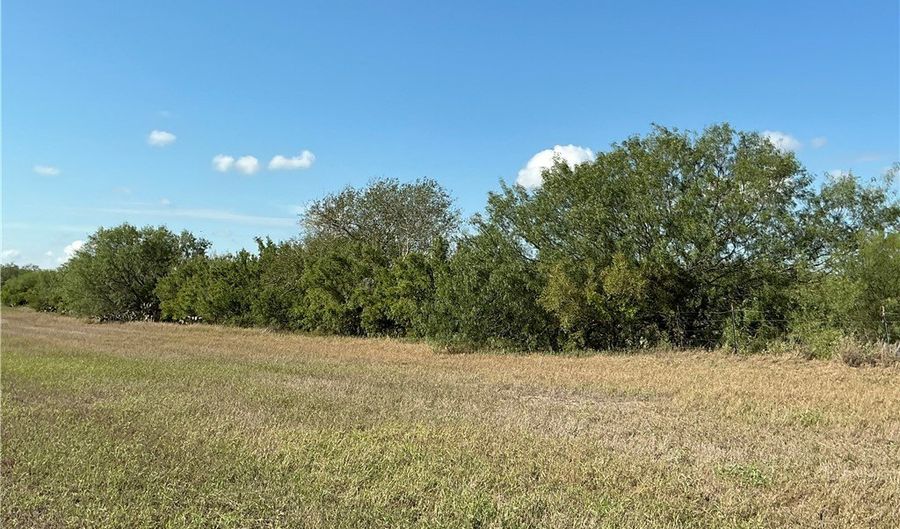 FM 1352, Alice, TX 78332 - 0 Beds, 0 Bath