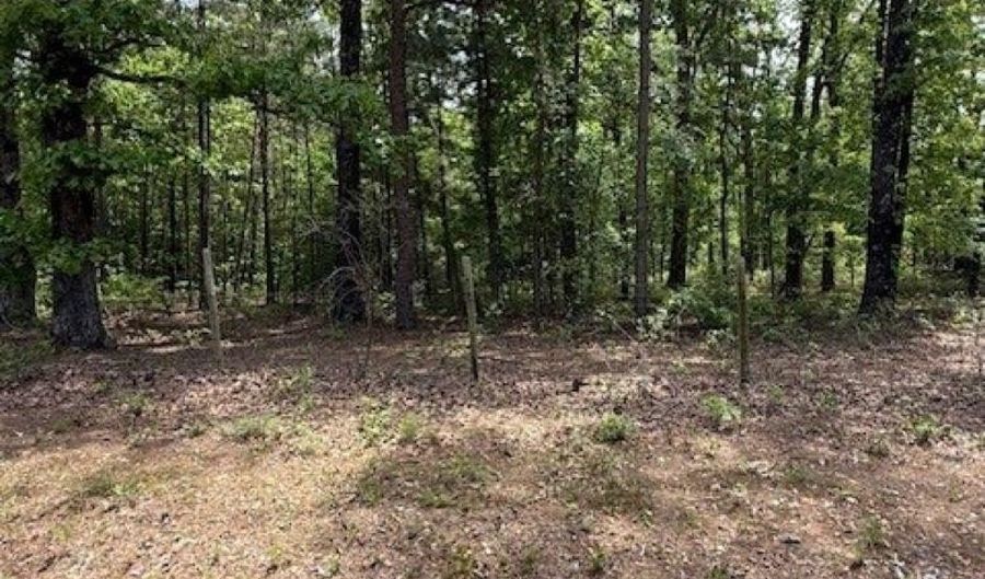 Maddox Court, Arkadelphia, AR 71923 - 0 Beds, 0 Bath