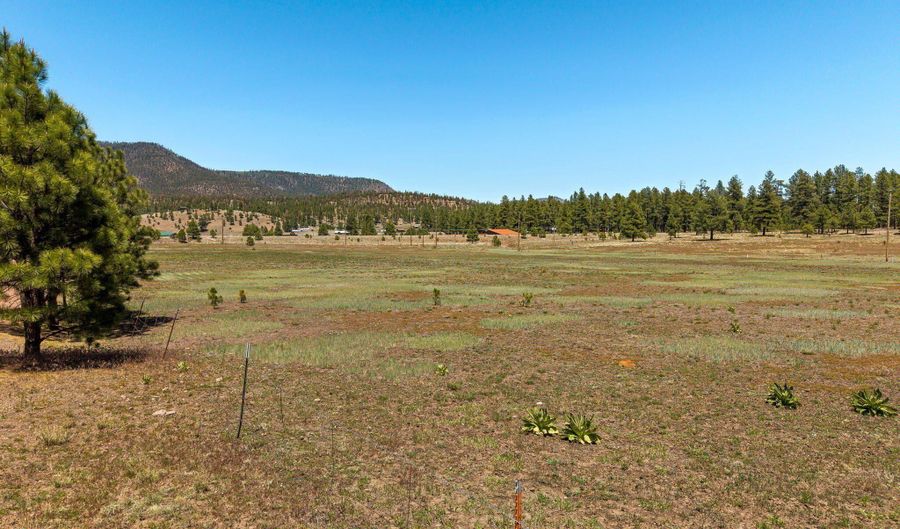 16 County Road 2089, Alpine, AZ 85920 - 0 Beds, 0 Bath