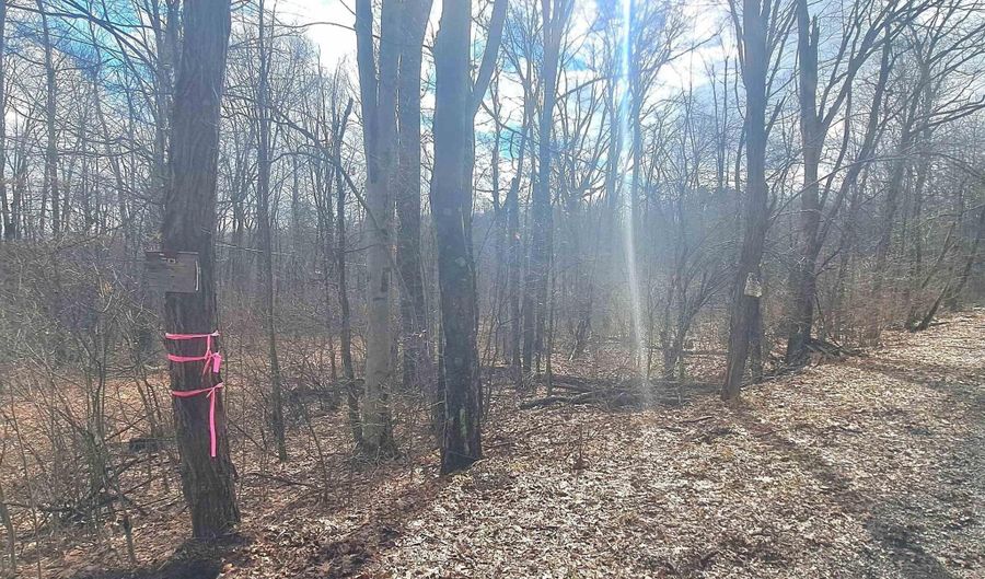 Glade Run Road, Albright, WV 26519 - 0 Beds, 0 Bath
