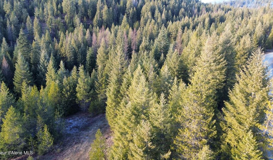 L7 B1 KELSO WOODS Dr, Athol, ID 83801 - 0 Beds, 0 Bath