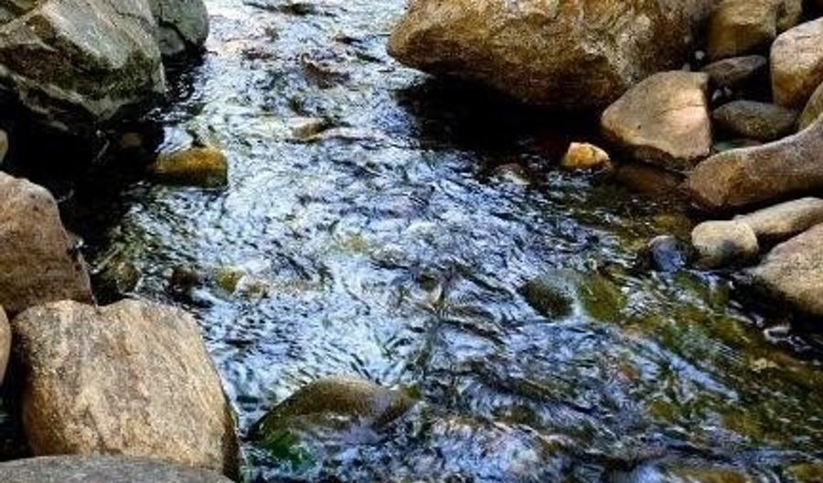 21 Craftsman Overlook Rdg, Arden, NC 28704 - 4 Beds, 3 Bath