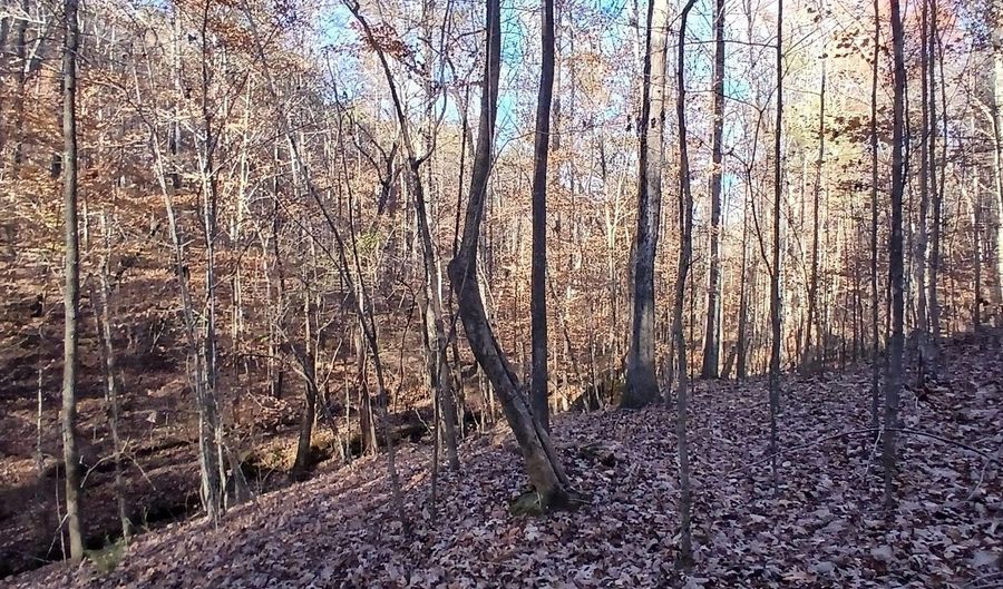 BLACKJACK ROAD lot 0, Argo, AL 35173 - 0 Beds, 0 Bath