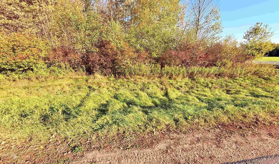 Lot 4 COUNTY ROAD Z, Aniwa, WI 54408 - 0 Beds, 0 Bath