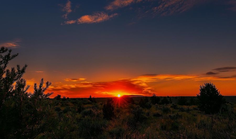 137 Los Rios Rd B007, Arroyo Hondo, NM 87513 - 0 Beds, 0 Bath