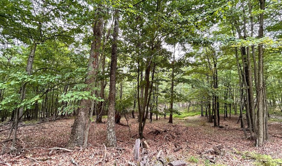 522 CLINTON Dr, Baker, WV 26801 - 0 Beds, 0 Bath