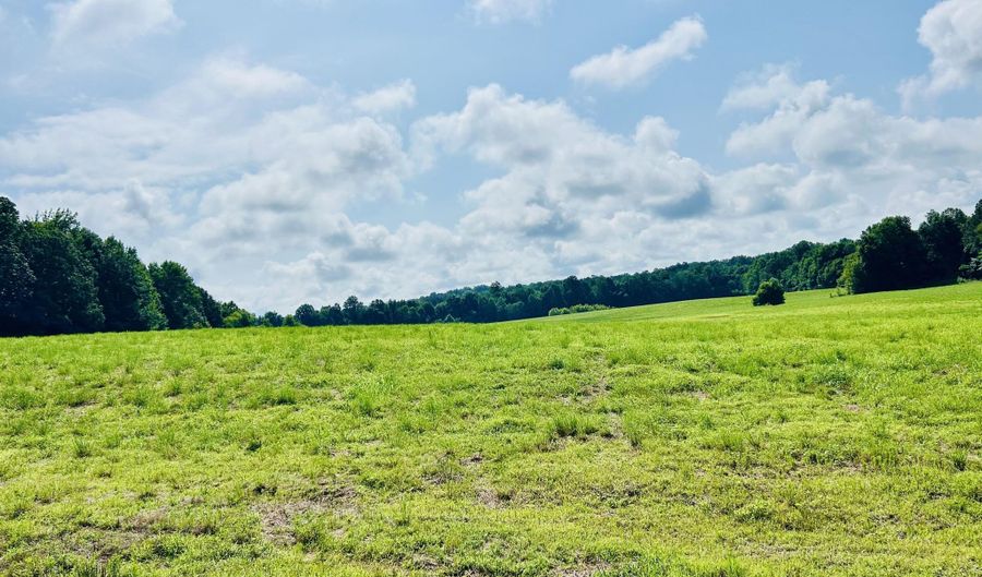 00 Willoughby Rd, Beech Bluff, TN 38313 - 0 Beds, 0 Bath