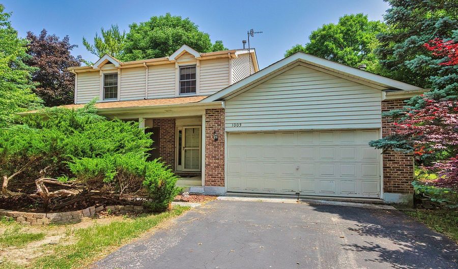 1003 White Pine Dr, Antioch, IL 60002 - 3 Beds, 3 Bath