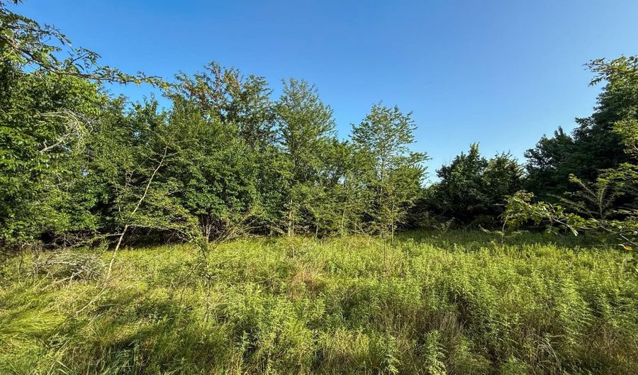 Tract 7 Highway 70, Bennington, OK 74723 - 0 Beds, 0 Bath