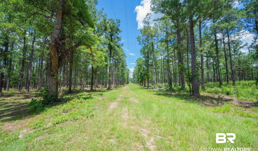 Hurricane Road, Bay Minette, AL 36507 - 0 Beds, 0 Bath