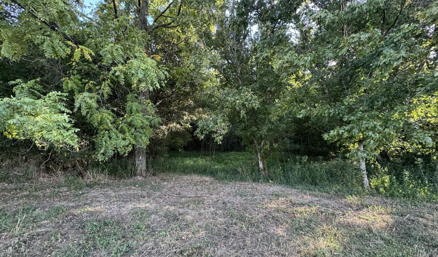 1 Bagdad Rd, Bagdad, KY 40003 - 0 Beds, 0 Bath