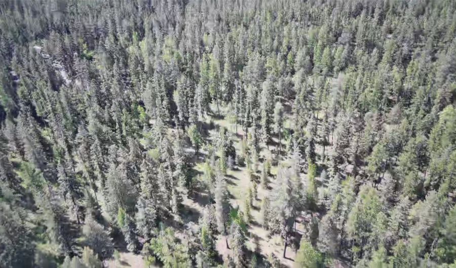 Nhn Black Wolf Trail, Bigfork, MT 59911 - 0 Beds, 0 Bath