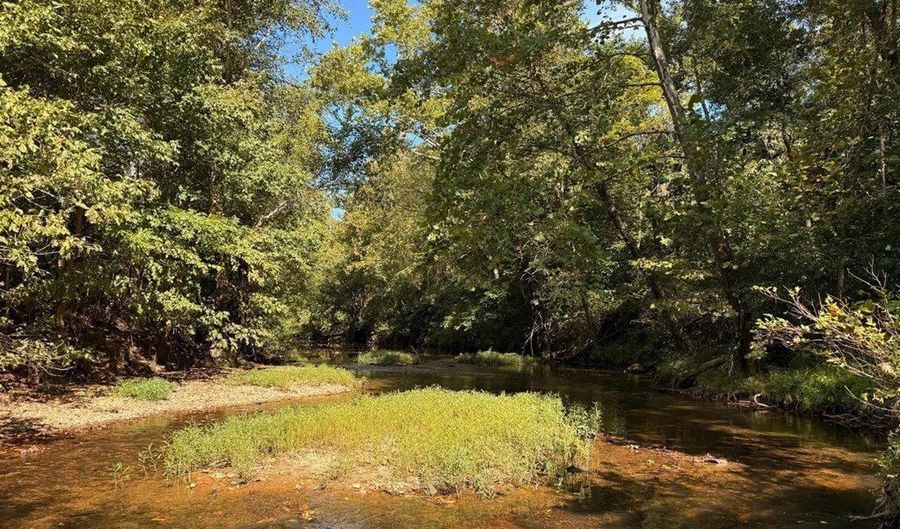 Coleman Mountain Road, Appomattox, VA 24522 - 0 Beds, 0 Bath