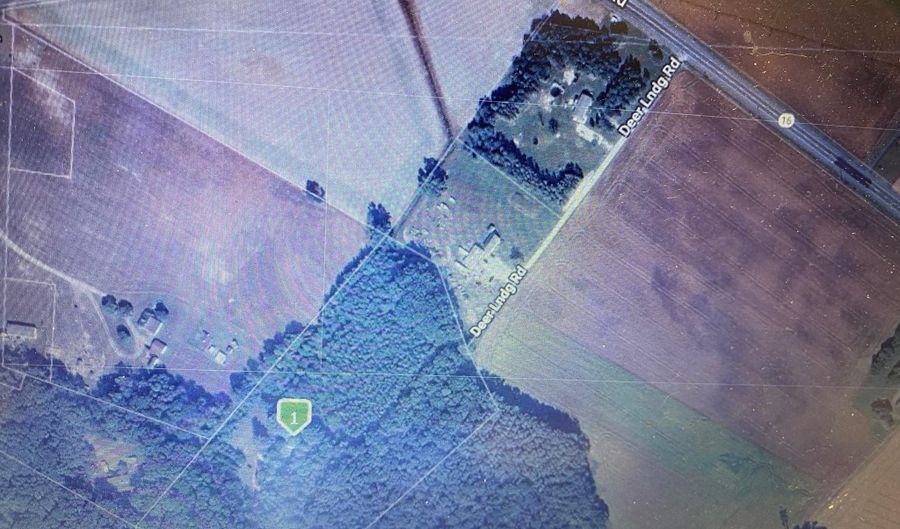 20 Acres DEER LANDING Rd, Greenwood, DE 19950 - 0 Beds, 0 Bath