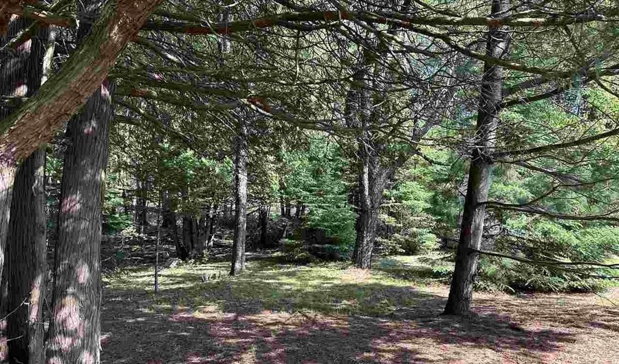 7763 Lagoon, Alanson, MI 49706 - 3 Beds, 2 Bath