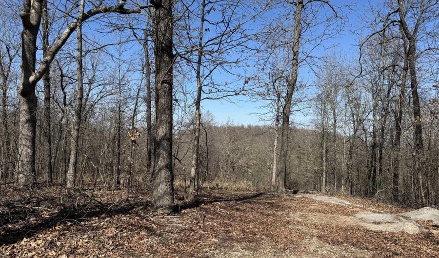 Off BACKWAY ROAD TO-60W & 62, Yellville, AR 72687 - 0 Beds, 0 Bath