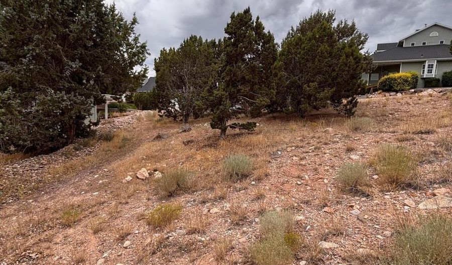 338 N Pachea Trl, Cedar City, UT 84720 - 0 Beds, 0 Bath