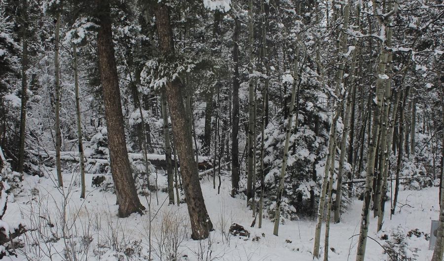 El Camino Real lot 684, Angel Fire, NM 87710 - 0 Beds, 0 Bath