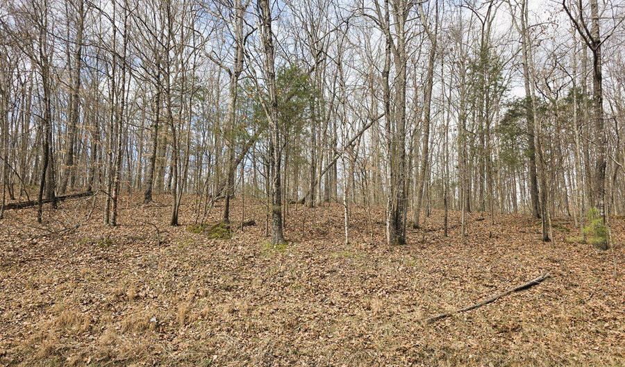 Midfield Dr, Big Sandy, TN 38221 - 0 Beds, 0 Bath