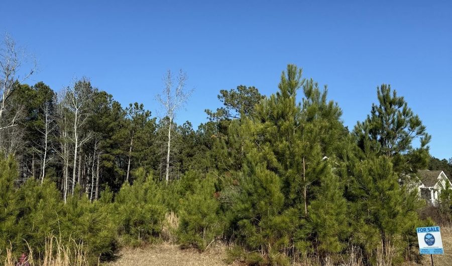 191 Magnolia Estates Dr, Alexander City, AL 35010 - 0 Beds, 0 Bath