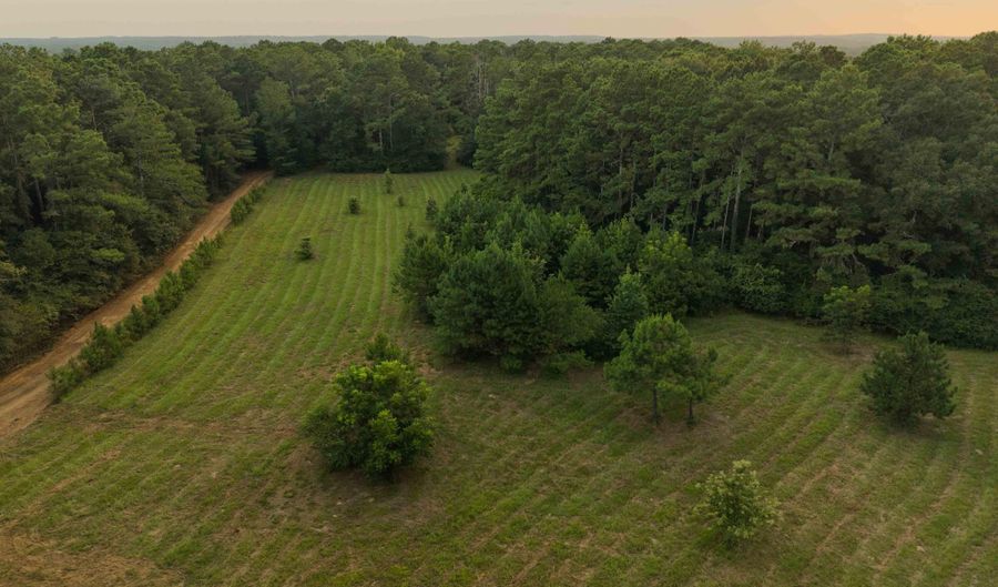 235 Woodrow Martin Rd, Brandon, MS 39042 - 0 Beds, 0 Bath