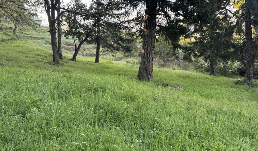 SE Rice Ln, Amity, OR 97101 - 0 Beds, 0 Bath