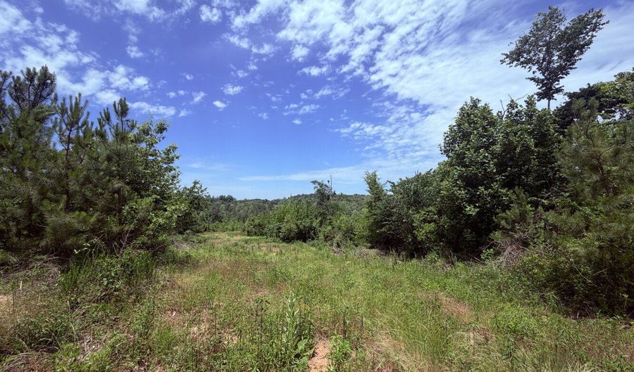 Tucker Road lot 8, Bath Springs, TN 38311 - 0 Beds, 0 Bath