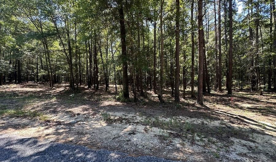 252 Pebble Cove Rd, Abbeville, AL 36310 - 0 Beds, 0 Bath